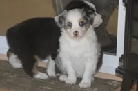 processed/32f521e1-480d-45d9-8b5f-be2b953e9267/listing/7a7cd50c-8679-4bf4-a878-fa98c9adf1ed/fe0e8dbe-1b3d-48e3-a4d8-9194d578cb47