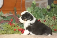 processed/32f521e1-480d-45d9-8b5f-be2b953e9267/listing/99f836b8-5e2b-4781-b7d4-b3b187fbdeb7/1bdbc6b9-c2d0-4769-8dd8-9466fdecd48d