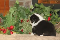 processed/32f521e1-480d-45d9-8b5f-be2b953e9267/listing/99f836b8-5e2b-4781-b7d4-b3b187fbdeb7/3e8314f2-4bf4-47f0-978b-e98f2024617d