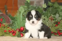 processed/32f521e1-480d-45d9-8b5f-be2b953e9267/listing/99f836b8-5e2b-4781-b7d4-b3b187fbdeb7/829a37e0-24cb-49f9-9968-6b41870ee367