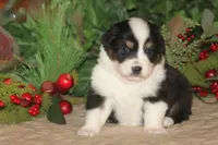 processed/32f521e1-480d-45d9-8b5f-be2b953e9267/listing/99f836b8-5e2b-4781-b7d4-b3b187fbdeb7/8406cdff-4180-44ce-8ae9-d902ae702d06