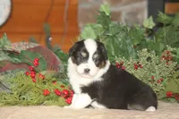 processed/32f521e1-480d-45d9-8b5f-be2b953e9267/listing/99f836b8-5e2b-4781-b7d4-b3b187fbdeb7/b7b06840-9304-4d10-97e6-8459006fab93