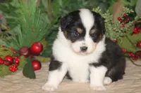 processed/32f521e1-480d-45d9-8b5f-be2b953e9267/listing/99f836b8-5e2b-4781-b7d4-b3b187fbdeb7/c381b656-d578-4111-bf23-6f4c8df517aa