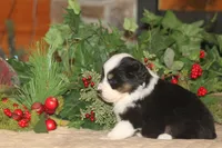 processed/32f521e1-480d-45d9-8b5f-be2b953e9267/listing/99f836b8-5e2b-4781-b7d4-b3b187fbdeb7/c4cb1e84-62a0-437e-bfa6-10145843cd98