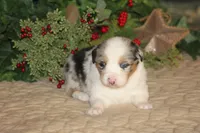 processed/32f521e1-480d-45d9-8b5f-be2b953e9267/listing/b0b83477-e61d-458a-b36e-26d72674c3fc/08149810-0e28-45a3-b61a-476de8430a53