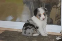 processed/32f521e1-480d-45d9-8b5f-be2b953e9267/listing/b0b83477-e61d-458a-b36e-26d72674c3fc/09849e59-4d17-40fc-a8c5-7be124fffce2