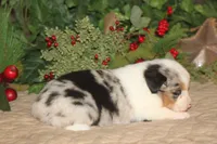 processed/32f521e1-480d-45d9-8b5f-be2b953e9267/listing/b0b83477-e61d-458a-b36e-26d72674c3fc/2bcc81c9-e0db-4670-8c14-0532019d991c