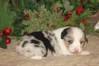 processed/32f521e1-480d-45d9-8b5f-be2b953e9267/listing/b0b83477-e61d-458a-b36e-26d72674c3fc/7be81404-b7d8-4203-8513-5bf4c16275c7