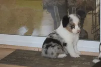 processed/32f521e1-480d-45d9-8b5f-be2b953e9267/listing/b0b83477-e61d-458a-b36e-26d72674c3fc/96c367eb-b07c-48c7-b37d-f273600d9541