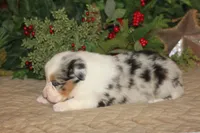 processed/32f521e1-480d-45d9-8b5f-be2b953e9267/listing/b0b83477-e61d-458a-b36e-26d72674c3fc/d8b521c0-565d-48cf-94ca-7cc8e235c0e3