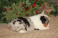 processed/32f521e1-480d-45d9-8b5f-be2b953e9267/listing/b0b83477-e61d-458a-b36e-26d72674c3fc/e4c5479a-ddb4-46a2-b43b-588872632209