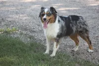 processed/32f521e1-480d-45d9-8b5f-be2b953e9267/listing/e93d6487-ec7e-47bd-b7db-263575bafe9f/78ae53c7-10ed-4f12-982f-bf1507042d08