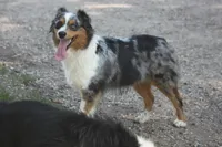 processed/32f521e1-480d-45d9-8b5f-be2b953e9267/listing/e93d6487-ec7e-47bd-b7db-263575bafe9f/7dc781e9-5e3c-4d1f-bb63-113caab84194