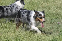 processed/32f521e1-480d-45d9-8b5f-be2b953e9267/listing/e93d6487-ec7e-47bd-b7db-263575bafe9f/91fdb6da-3839-4096-83dd-daa9cd9b0211