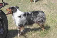 processed/32f521e1-480d-45d9-8b5f-be2b953e9267/listing/e93d6487-ec7e-47bd-b7db-263575bafe9f/b5123f1f-660f-4272-8c21-d721f97ec89a