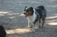 processed/32f521e1-480d-45d9-8b5f-be2b953e9267/listing/e93d6487-ec7e-47bd-b7db-263575bafe9f/fb5557c9-394d-4272-885d-5914157ecd82