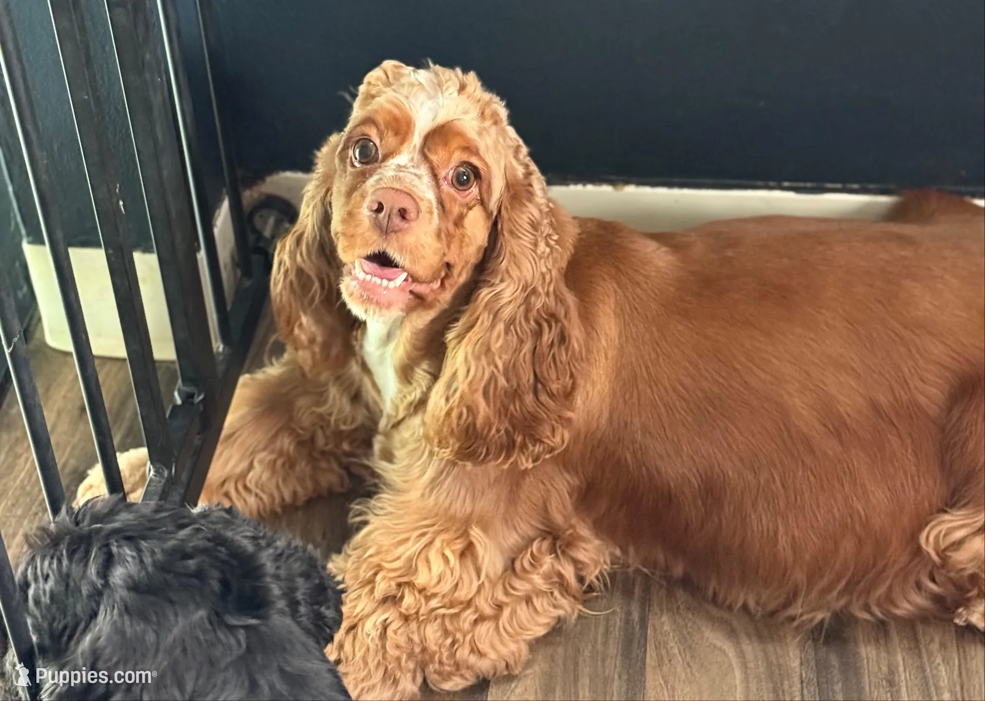 processed/32fc11de-dd75-47fe-8cd8-a89773c0497f/facility/13470e67-e367-46cf-aa23-a5cff099f009