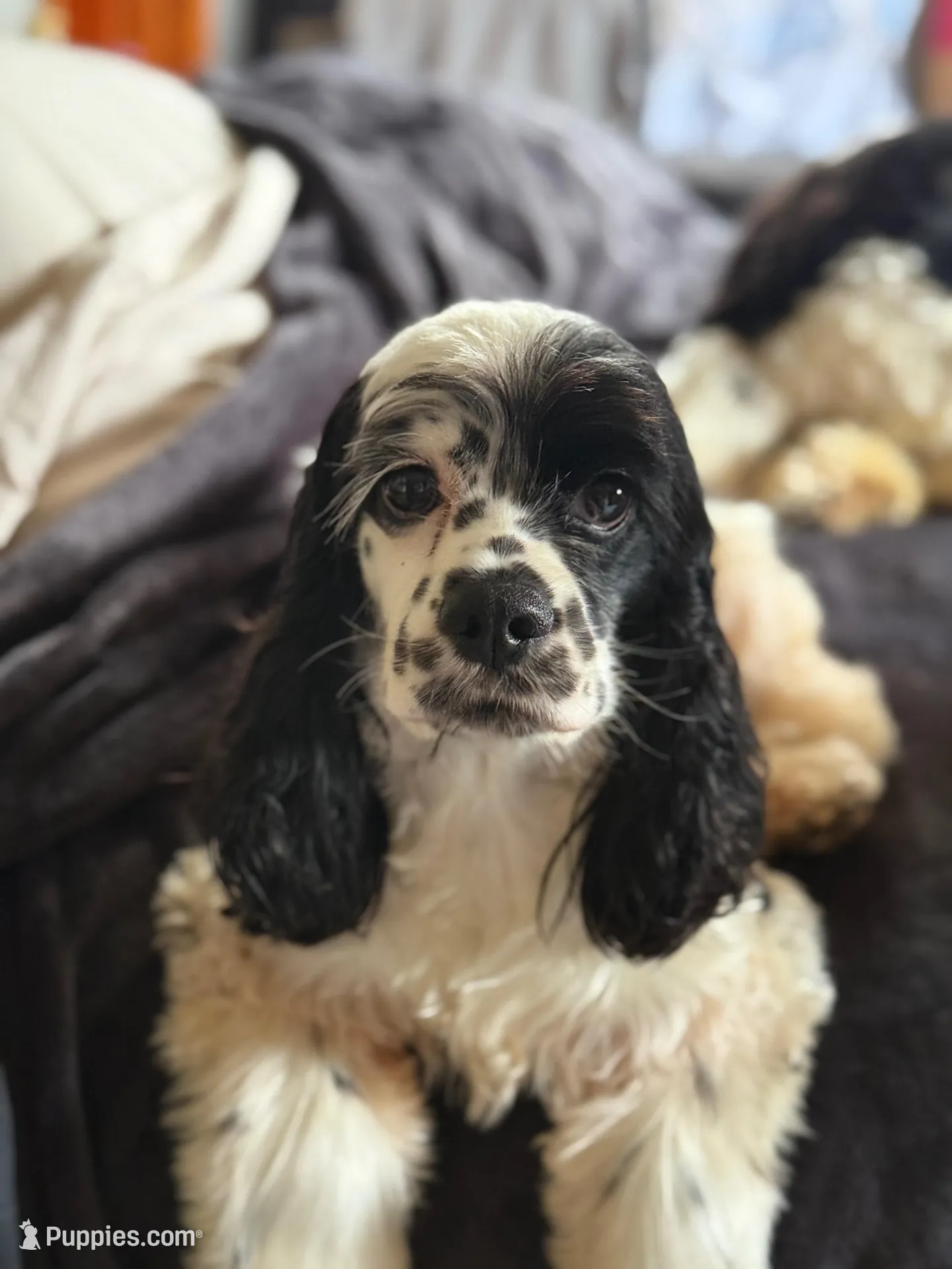 processed/32fc11de-dd75-47fe-8cd8-a89773c0497f/facility/1d8aa626-19c4-418d-a8ee-4a0a959d115a