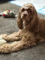 processed/32fc11de-dd75-47fe-8cd8-a89773c0497f/facility/636afd03-b210-4e98-ad88-d8a0d1dc45af