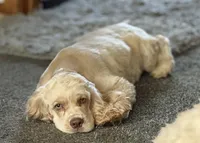 processed/32fc11de-dd75-47fe-8cd8-a89773c0497f/facility/a80fc723-d44b-4271-8317-c906d7163bde