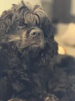 processed/32fc11de-dd75-47fe-8cd8-a89773c0497f/facility/c674671f-be97-4825-9445-6a0068d8dc45