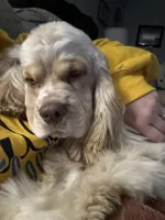 processed/32fc11de-dd75-47fe-8cd8-a89773c0497f/facility/cd7e1f03-0d48-44f9-848e-65357871fdff