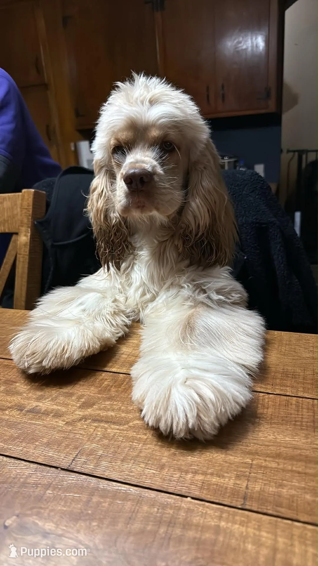 processed/32fc11de-dd75-47fe-8cd8-a89773c0497f/facility/d27d5d15-b6ef-4eae-88b3-1863d7360ef4