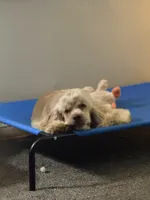 processed/32fc11de-dd75-47fe-8cd8-a89773c0497f/facility/e433a8b4-6661-49b9-b022-ee6ee66033c5