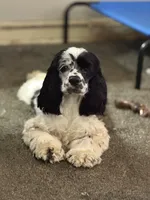 processed/32fc11de-dd75-47fe-8cd8-a89773c0497f/facility/f02f76ab-972f-4d7d-b7e2-495e423fc48b