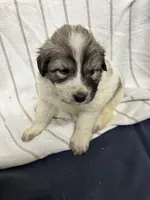 processed/32fdcbe9-f3e6-4d84-8c99-8587b2de092f/listing/00b48993-87a1-4636-a1fb-a1ec62592f68/fe3d6b9a-d886-472a-93a9-5a0da201c150