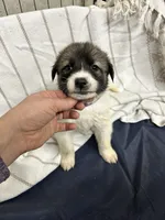 processed/32fdcbe9-f3e6-4d84-8c99-8587b2de092f/listing/057c98e5-0e47-4969-a771-90049f57c514/3cee7df3-a88b-459e-85a6-779d0cafd106