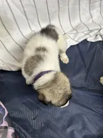 processed/32fdcbe9-f3e6-4d84-8c99-8587b2de092f/listing/057c98e5-0e47-4969-a771-90049f57c514/5ff22712-6a8e-4cb1-8d50-eb3d08da8e7f