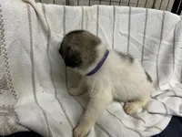 processed/32fdcbe9-f3e6-4d84-8c99-8587b2de092f/listing/057c98e5-0e47-4969-a771-90049f57c514/8e975546-1164-4616-a552-dbfb6f0989f2