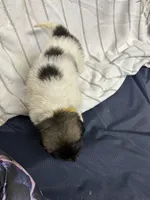 processed/32fdcbe9-f3e6-4d84-8c99-8587b2de092f/listing/a79453fb-3deb-419e-973d-c2cb1ef8150e/d572fe8b-734c-4e93-9196-3648a424f65f