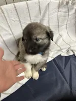 processed/32fdcbe9-f3e6-4d84-8c99-8587b2de092f/listing/f9bd4b4b-5d18-4783-a4b6-c9cb41e0ff31/06acb034-dc43-4499-a7f9-9e2498650330