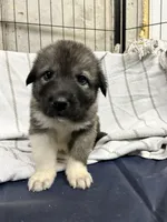 processed/32fdcbe9-f3e6-4d84-8c99-8587b2de092f/listing/f9bd4b4b-5d18-4783-a4b6-c9cb41e0ff31/632796b6-b89f-491a-99e7-ba0c71078df8