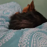 processed/32fe6732-64f9-4c02-aaf6-dac00ee5ec4f/facility/0e339845-00b0-481d-9baa-0df76c74eb7a