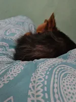 processed/32fe6732-64f9-4c02-aaf6-dac00ee5ec4f/facility/0e339845-00b0-481d-9baa-0df76c74eb7a