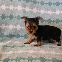 processed/32fe6732-64f9-4c02-aaf6-dac00ee5ec4f/facility/399e246f-11e0-4372-9f4e-d91897e58240