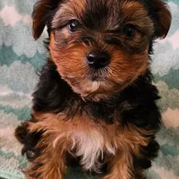 processed/32fe6732-64f9-4c02-aaf6-dac00ee5ec4f/facility/3e314219-10d6-4465-8952-4d27b63aa1a5