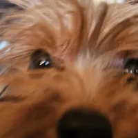 processed/32fe6732-64f9-4c02-aaf6-dac00ee5ec4f/facility/4f86b99e-b614-4bcd-a3b4-f17eea98eb18