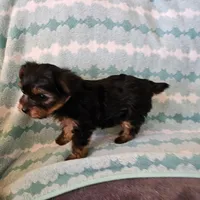 processed/32fe6732-64f9-4c02-aaf6-dac00ee5ec4f/facility/6ce78119-1ed7-4b58-81c4-f1be9c7c4100