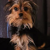 processed/32fe6732-64f9-4c02-aaf6-dac00ee5ec4f/facility/8512e4dc-58ae-4d86-b4e3-a12b8095f884