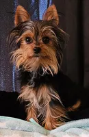 processed/32fe6732-64f9-4c02-aaf6-dac00ee5ec4f/facility/8512e4dc-58ae-4d86-b4e3-a12b8095f884