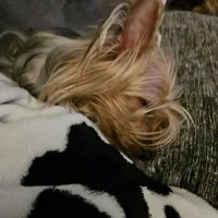 processed/32fe6732-64f9-4c02-aaf6-dac00ee5ec4f/facility/8e2a9ee1-252c-40fc-b983-15e1469a4b4b