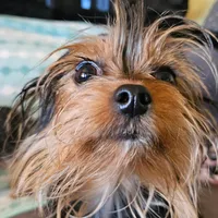 processed/32fe6732-64f9-4c02-aaf6-dac00ee5ec4f/facility/951682c1-c2a3-47af-bc3e-c68f847cdd0c