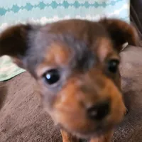 processed/32fe6732-64f9-4c02-aaf6-dac00ee5ec4f/facility/b29783c3-b550-467f-ad37-72d5ce6424e4