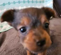 processed/32fe6732-64f9-4c02-aaf6-dac00ee5ec4f/facility/b29783c3-b550-467f-ad37-72d5ce6424e4