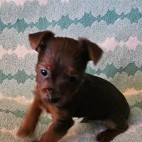 processed/32fe6732-64f9-4c02-aaf6-dac00ee5ec4f/facility/cc436234-ec79-4e1b-a9a9-dc809cd75f33