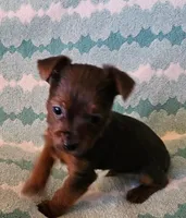 processed/32fe6732-64f9-4c02-aaf6-dac00ee5ec4f/facility/cc436234-ec79-4e1b-a9a9-dc809cd75f33